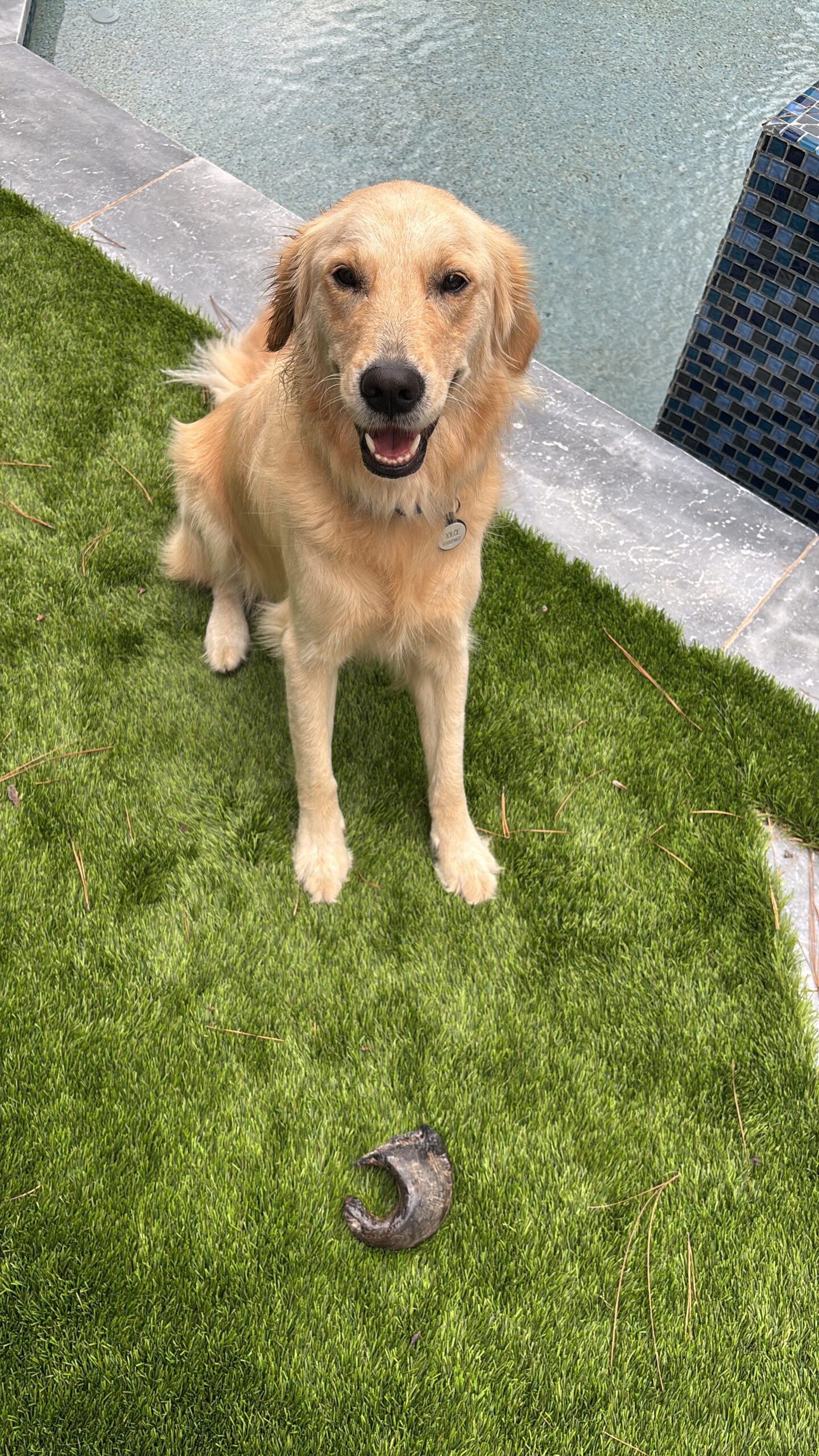 12719922-900F-40B3-B04F-B18A24512033