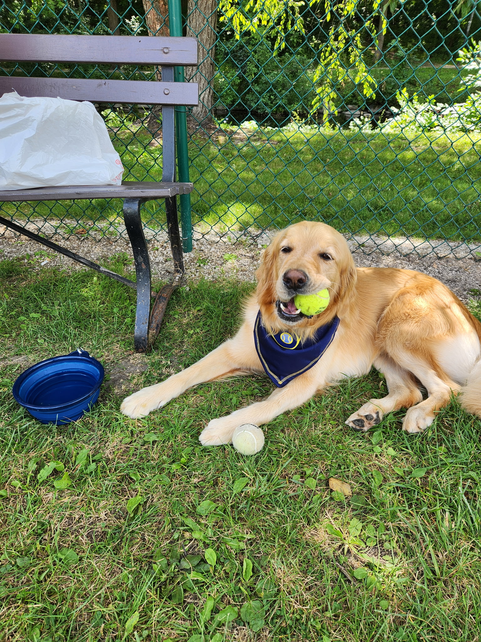 2025-08-30_11-38-12_022