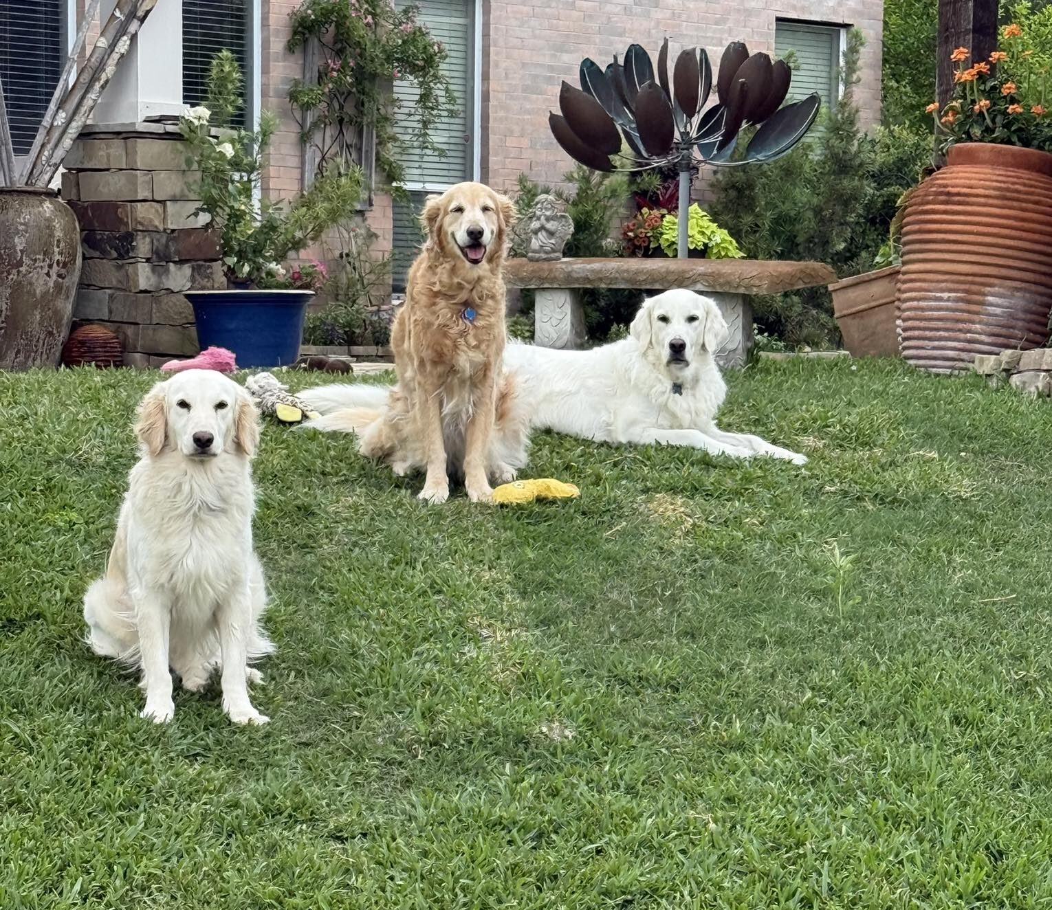 491688282_10237688190161252_1661484287559483538_n