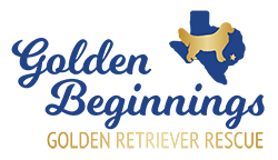 Golden Beginnings Golden Retriever Rescue Inc logo