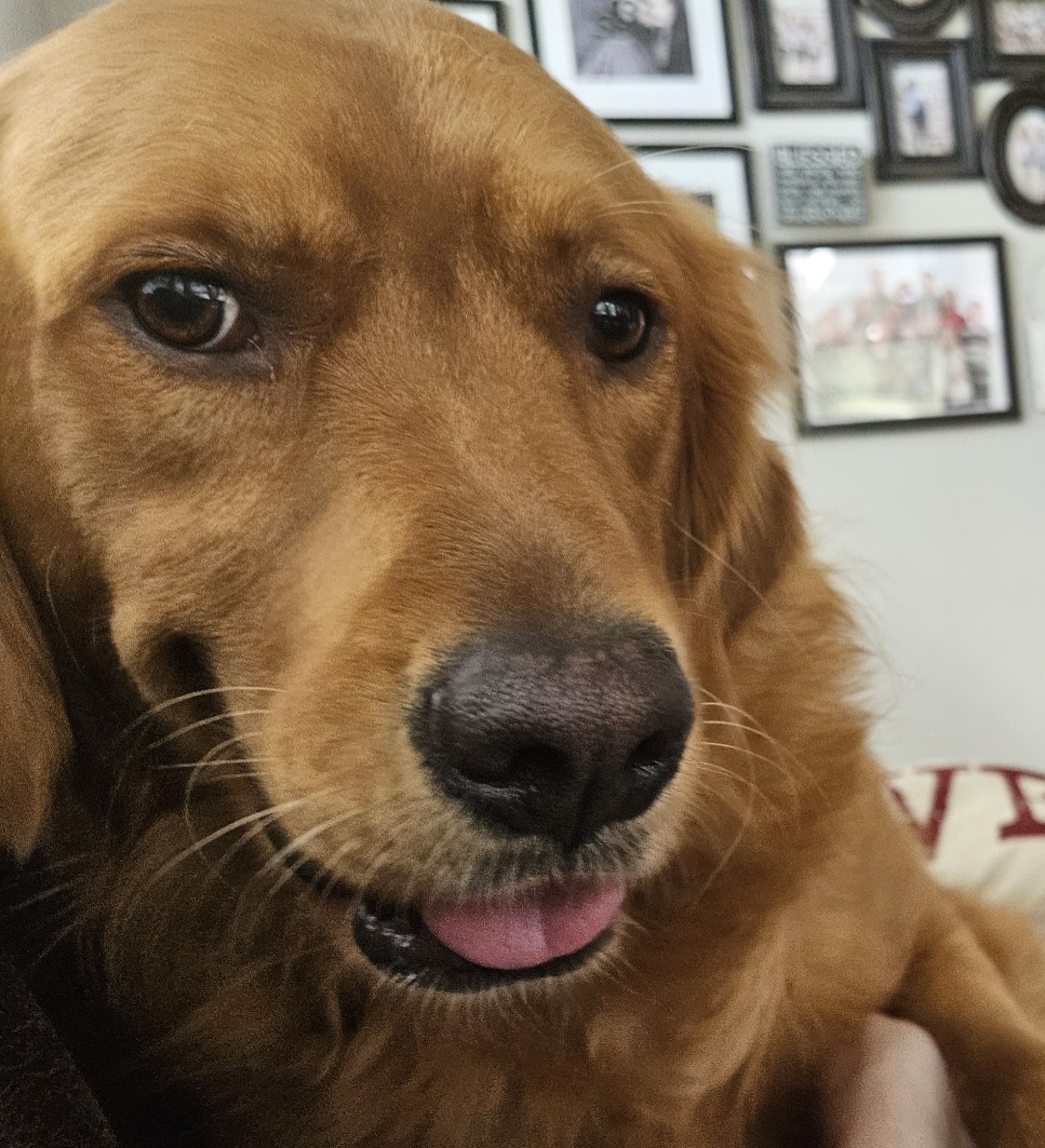 Resized_20231019_140011_40238579085482_1704672428632