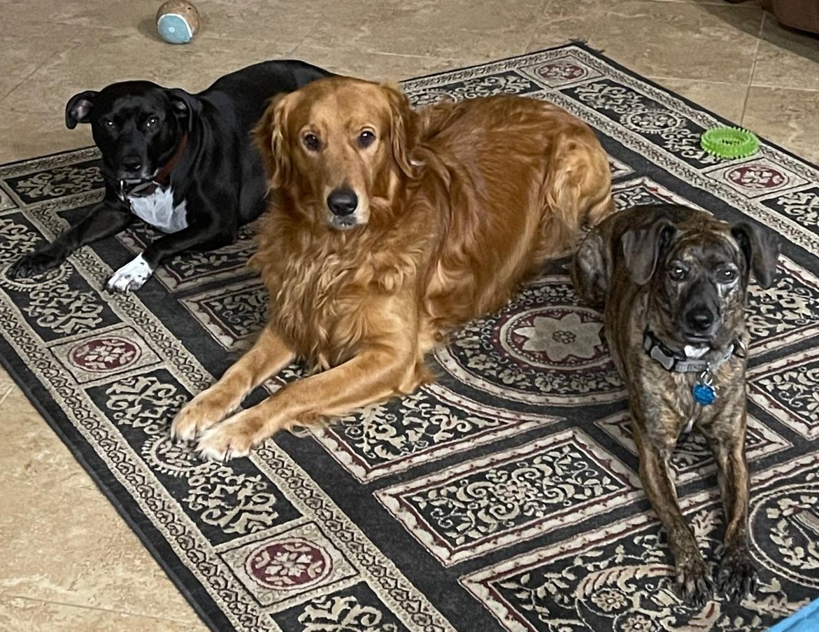 b6eef2c6-ab04-47d1-aea8-d8304bf7b103