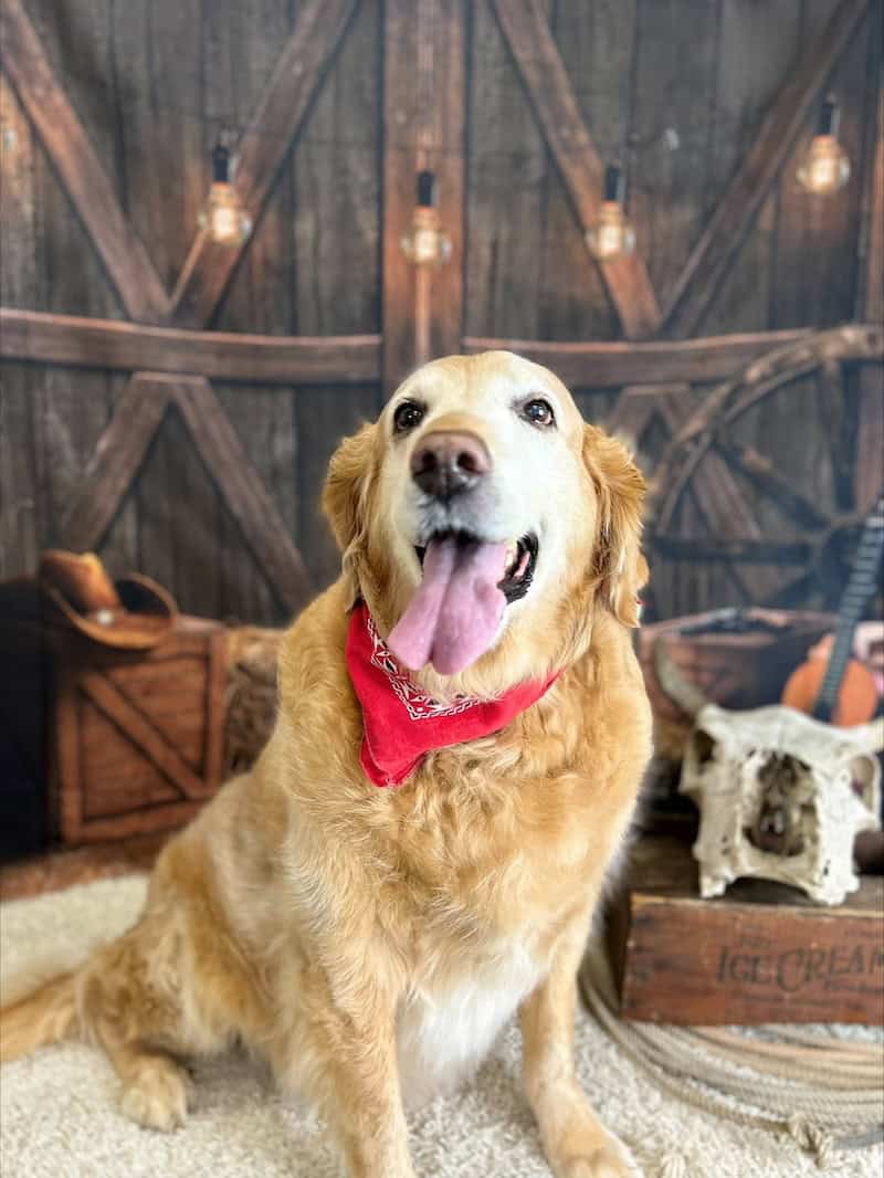 Ellie